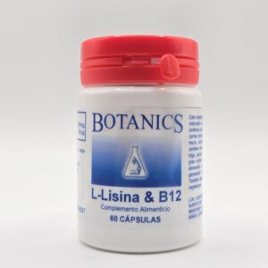 B  12+ LISINA